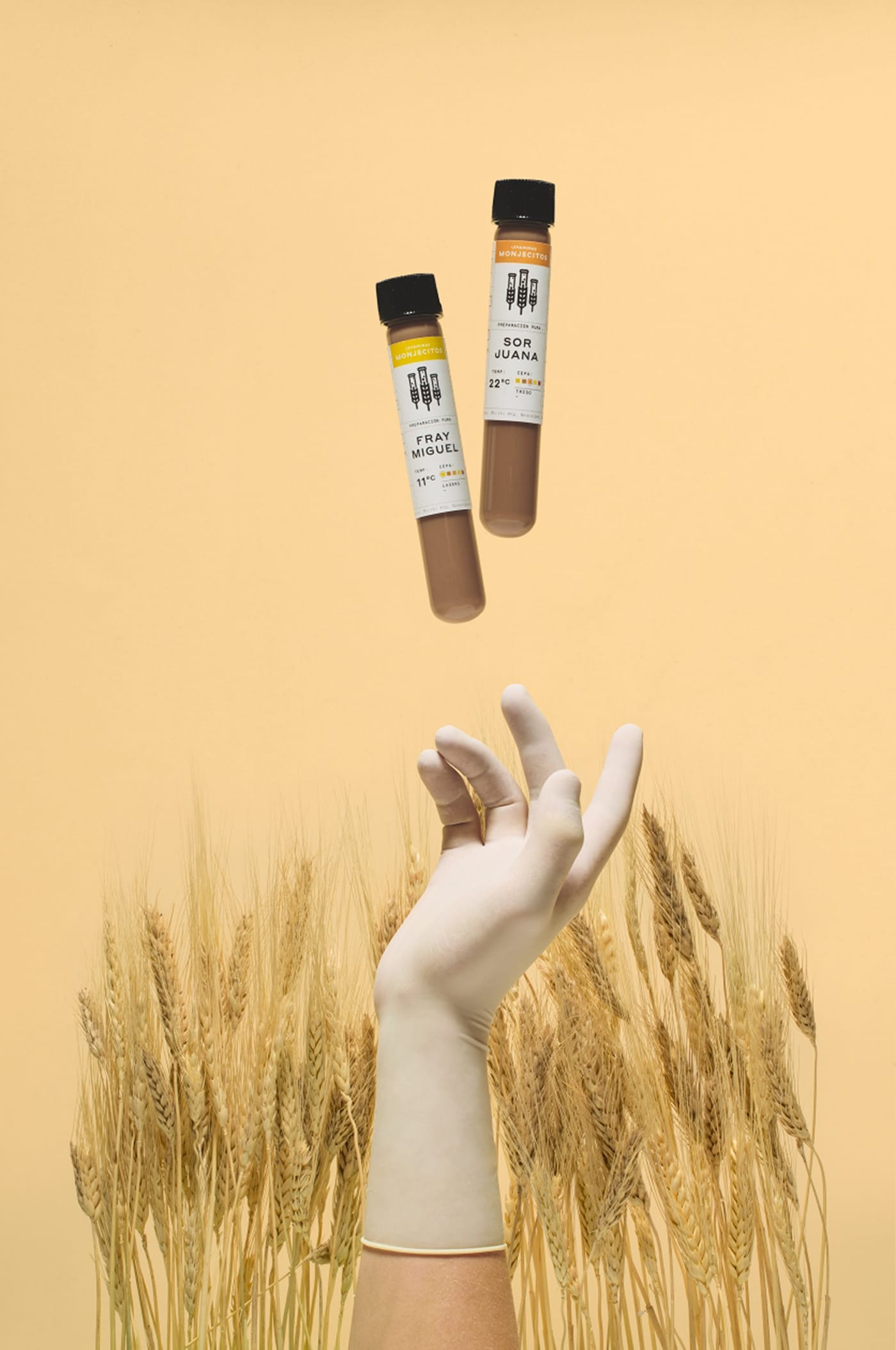 南风盛世品牌设计公司推荐的食品包装设计与高端标志设计作品