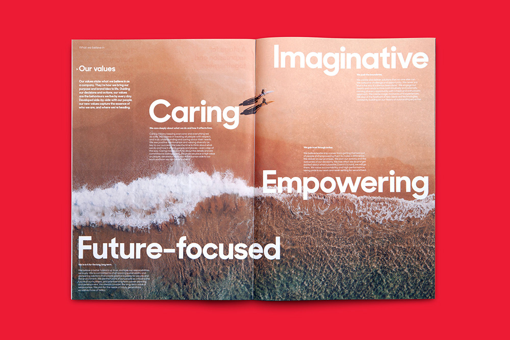 南风盛世品牌设计公司推荐的VI设计与包装设计作品